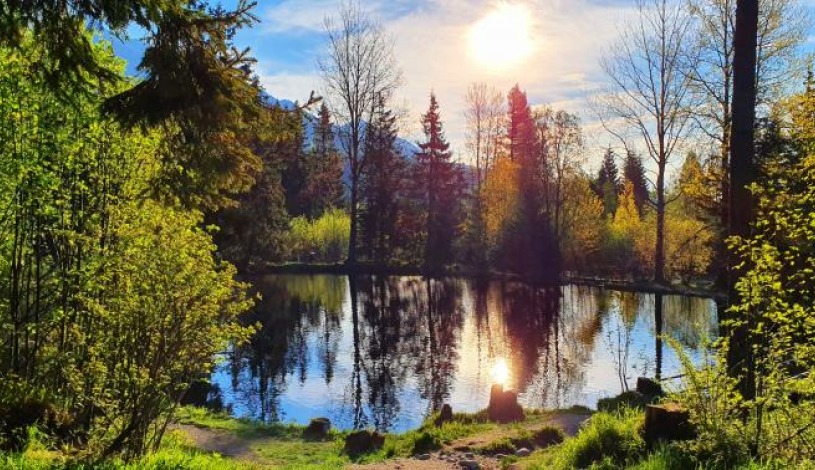 Hotel CROCUS **** Vysoké Tatry